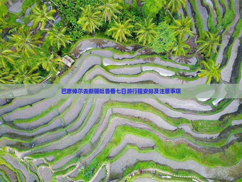 巴彦倬尔去新疆吐鲁番七日游