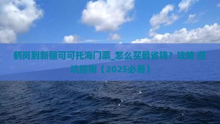 鹤岗到新疆可可托海门票