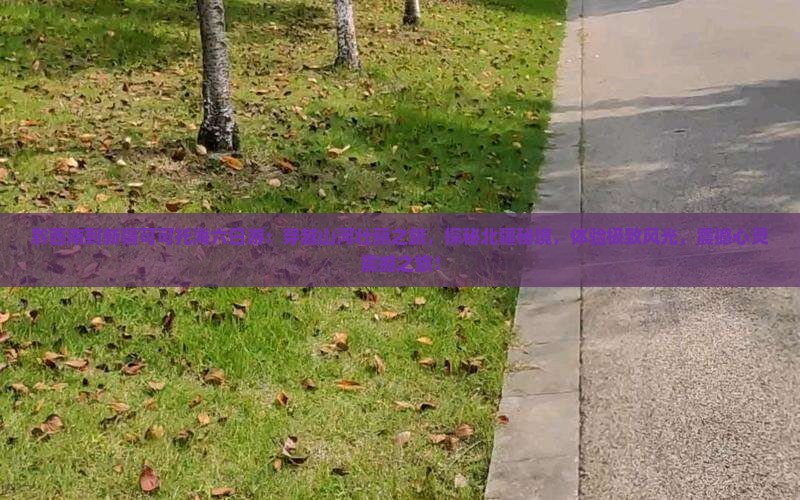 黔西南到新疆可可托海六日游