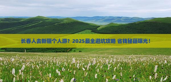 长春去新疆个人游