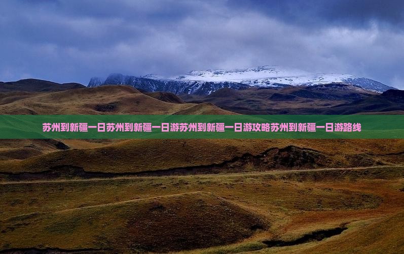 苏州到新疆一日