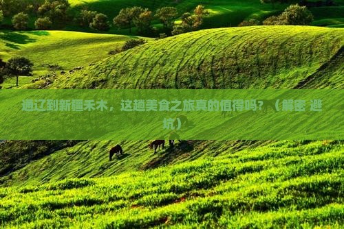 通辽市到新疆禾木旅游小吃