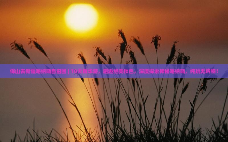 保山去新疆喀纳斯自由团