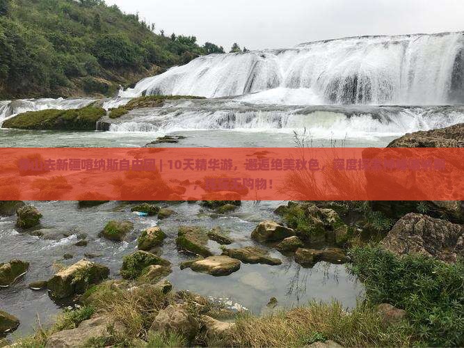 保山去新疆喀纳斯自由团