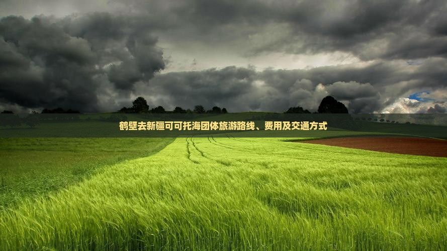 鹤壁去新疆可可托海团体旅游