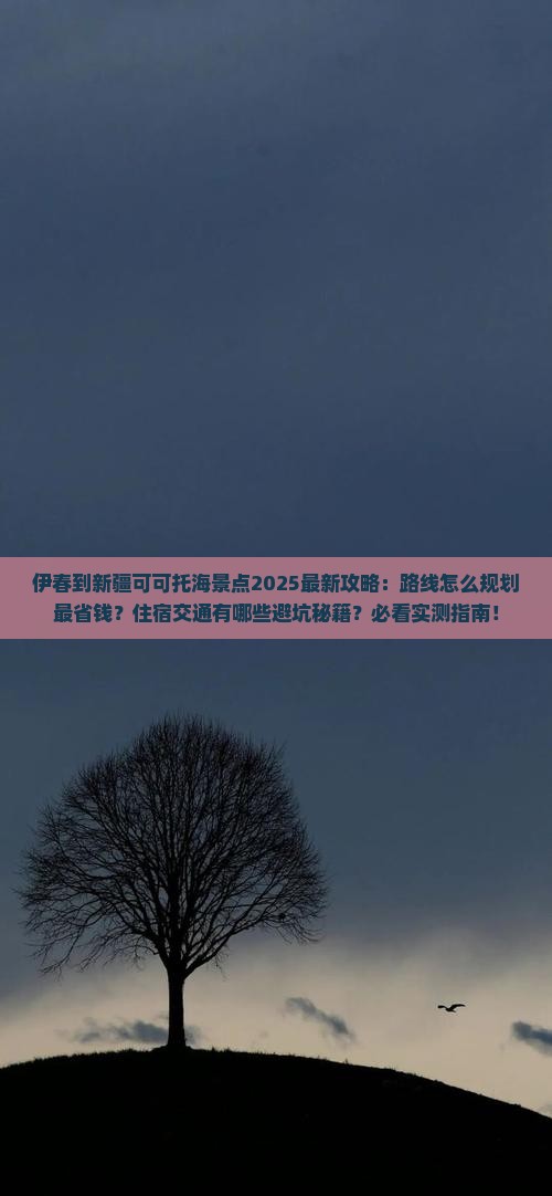 伊春到新疆可可托海景点