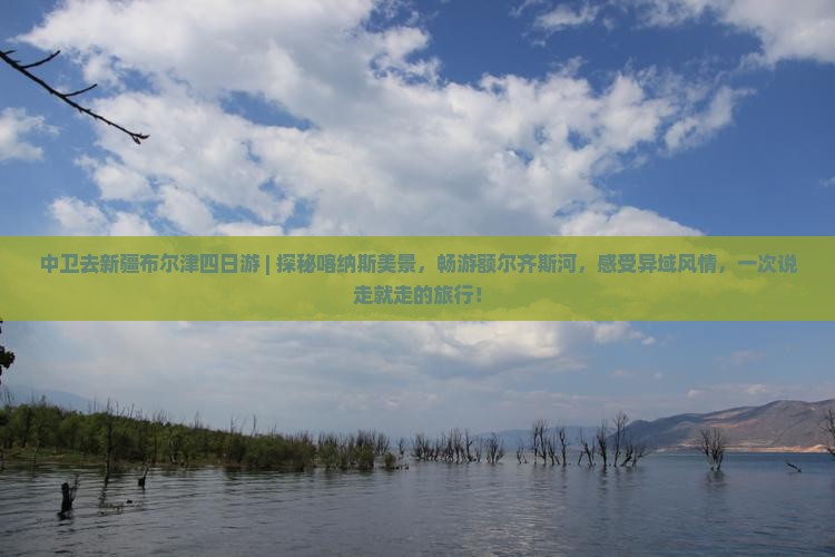 中卫去新疆布尔津四日游