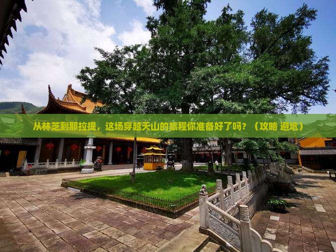 林芝去新疆那拉提旅游