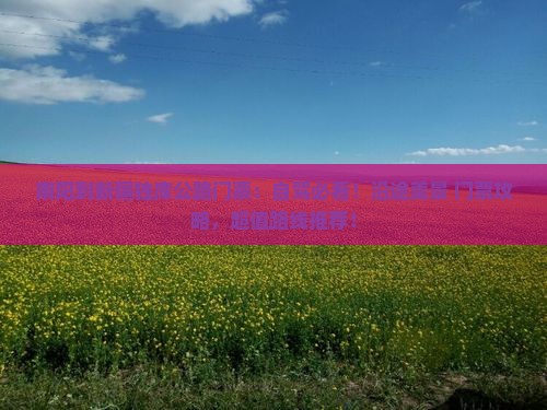 南阳到新疆独库公路门票