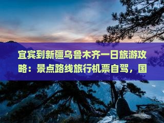 宜宾到新疆乌鲁木齐一日