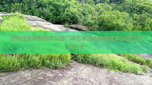 石家庄去新疆独库公路门票