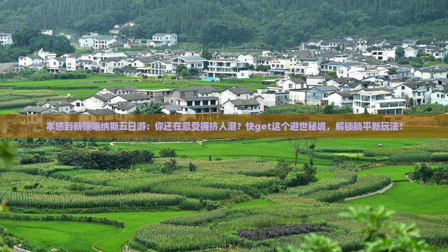 孝感到新疆喀纳斯五日游