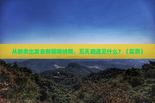 新余去新疆喀纳斯五日游