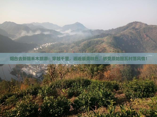 烟台去新疆禾木旅游