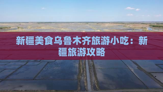 芜湖去新疆乌鲁木齐旅游小吃