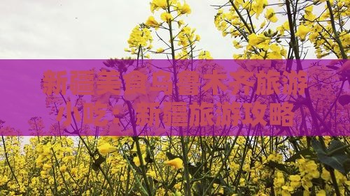 芜湖去新疆乌鲁木齐旅游小吃