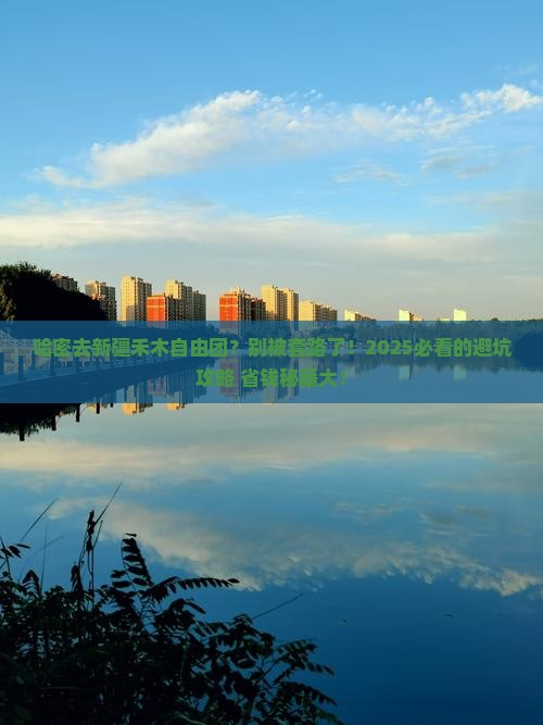 哈密去新疆禾木自由团