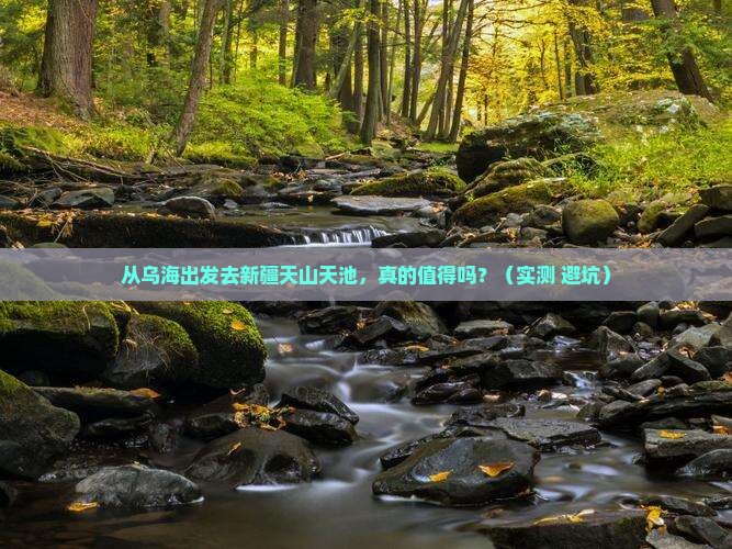 乌海去新疆天山天池攻略