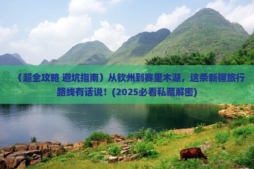 钦州去新疆赛里木湖旅游小吃