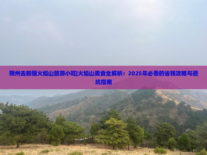 朔州去新疆火焰山旅游小吃