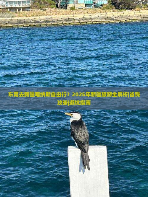 东莞去新疆喀纳斯自由行