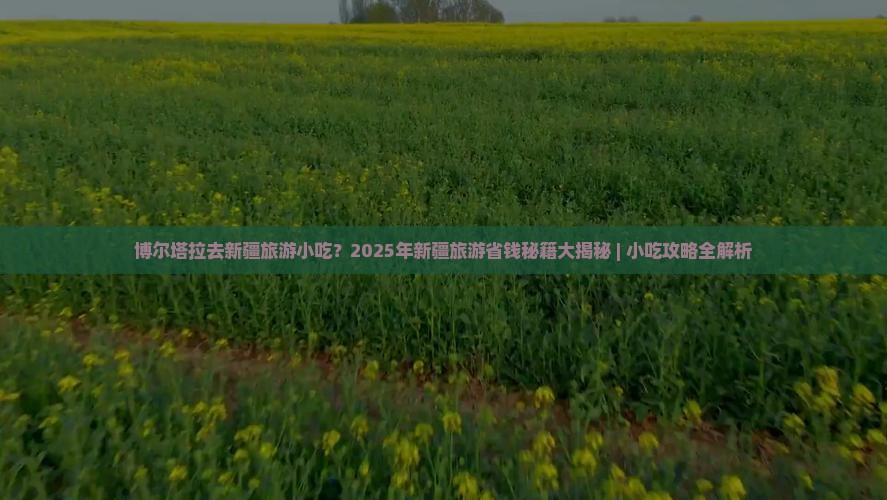 博尔塔拉去新疆旅游小吃