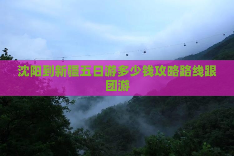 沈阳到新疆五日游