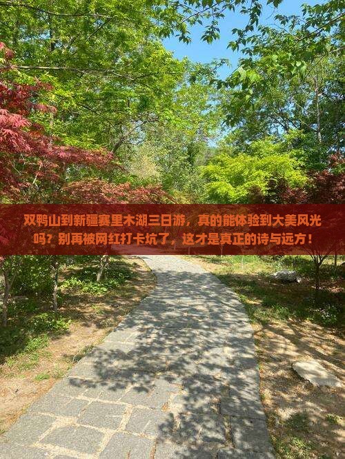 双鸭山到新疆赛里木湖三日游