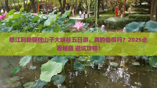 怒江到新疆独山子大峡谷五日游