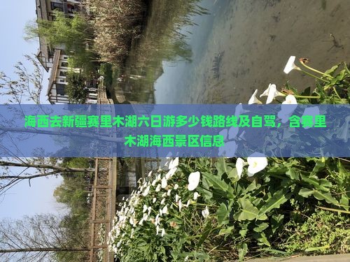 海西去新疆赛里木湖六日游
