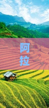 阿拉尔去新疆天山天池二日游