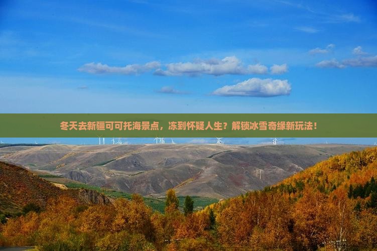 冬天去新疆可可托海景点