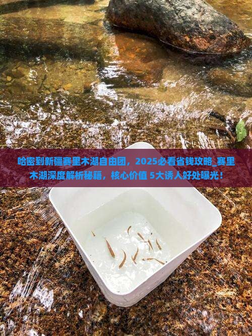 哈密到新疆赛里木湖自由团