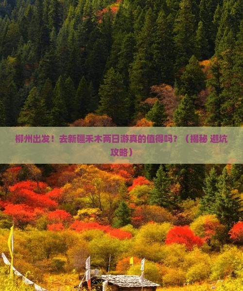 柳州到新疆禾木二日游