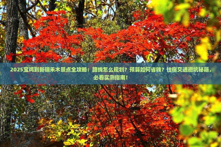 宝鸡到新疆禾木景点
