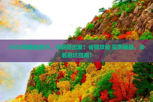 朝阳到新疆自由团