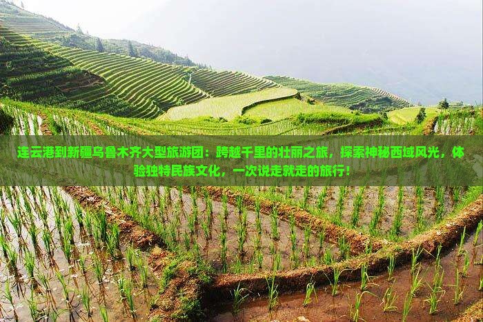 连云港到新疆乌鲁木齐大型旅游团