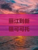 丽江到新疆可可托海自由团