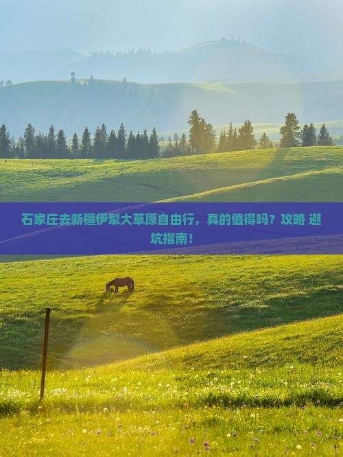 石家庄去新疆伊犁大草原自由行
