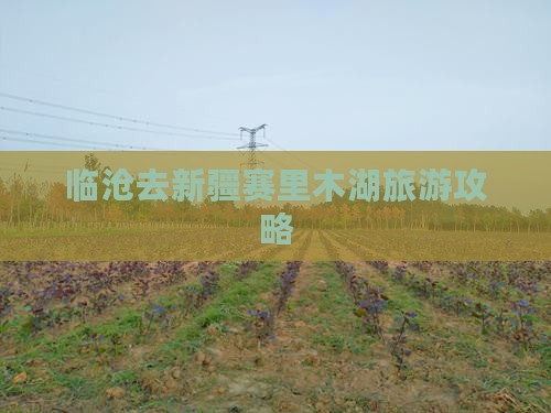 临沧去新疆赛里木湖自由行