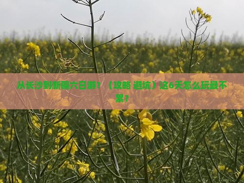 长沙到新疆六日游