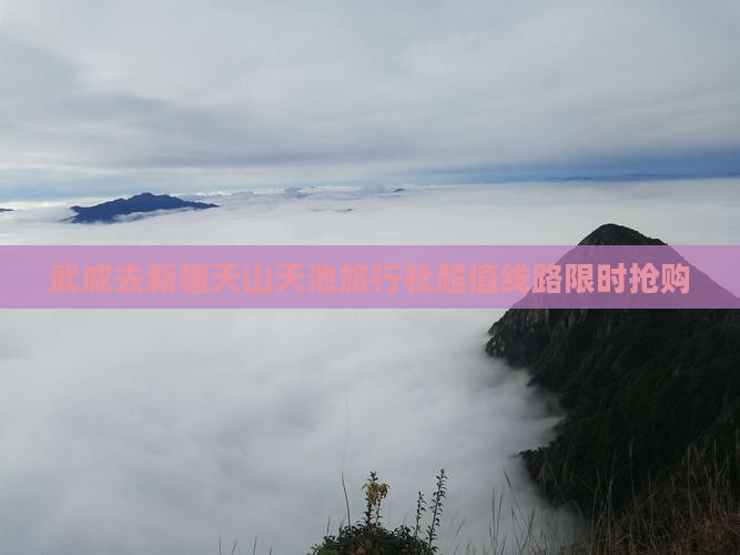 武威去新疆天山天池旅行社
