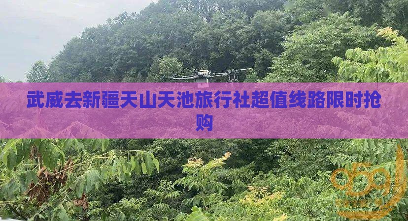 武威去新疆天山天池旅行社