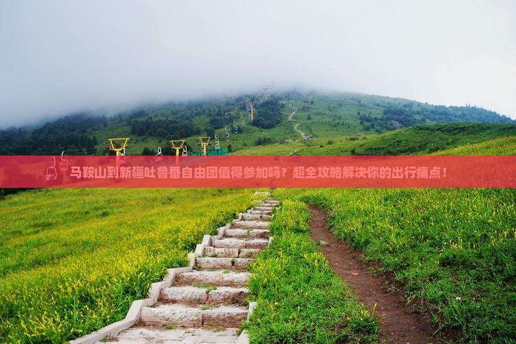 马鞍山到新疆吐鲁番自由团