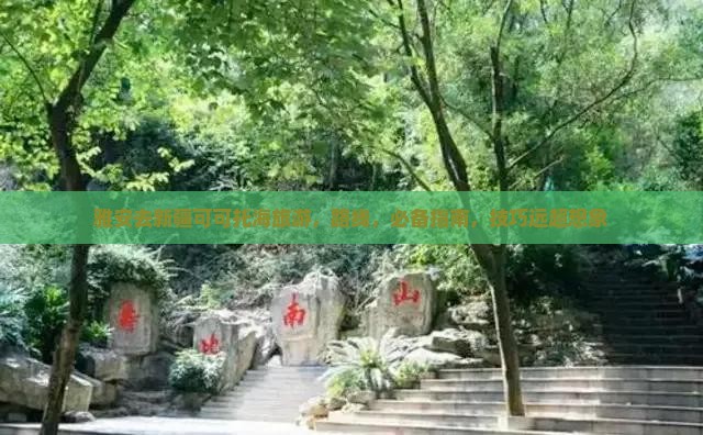 雅安去新疆可可托海旅游