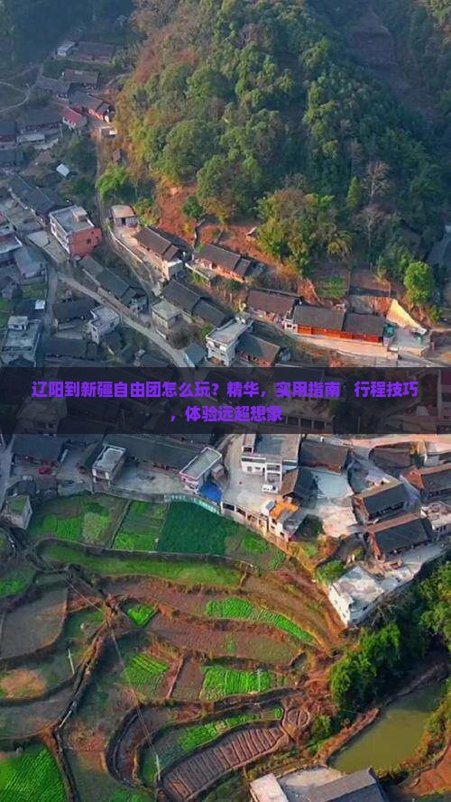 辽阳到新疆自由团