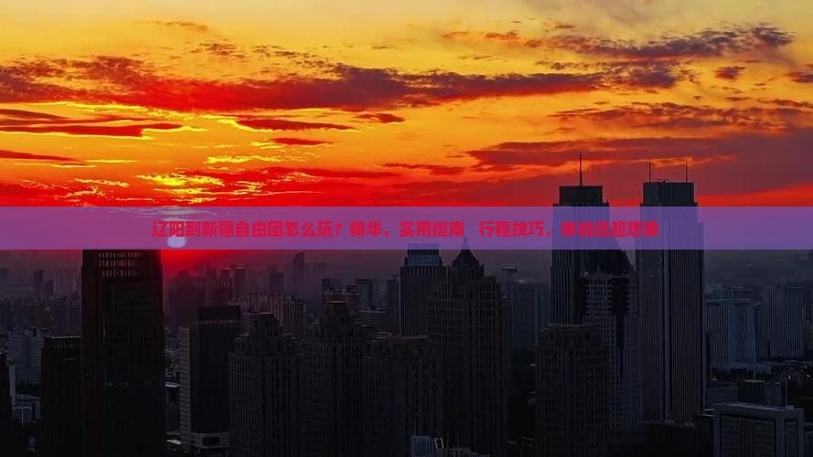 辽阳到新疆自由团
