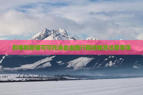 黔南到新疆可可托海自由团