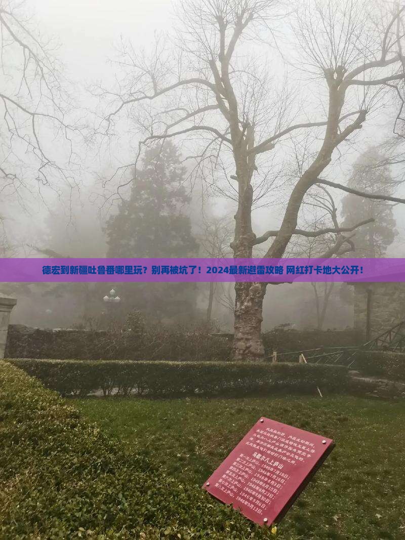 德宏到新疆吐鲁番哪里玩
