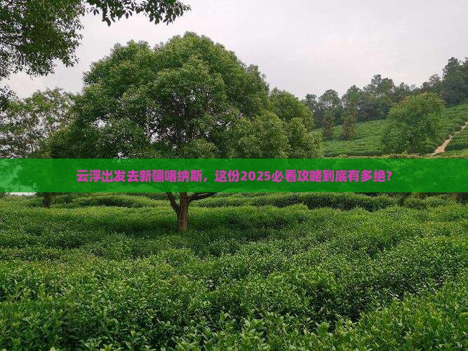 云浮到新疆喀纳斯旅行社